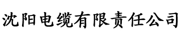 5g影院电缆厂logo